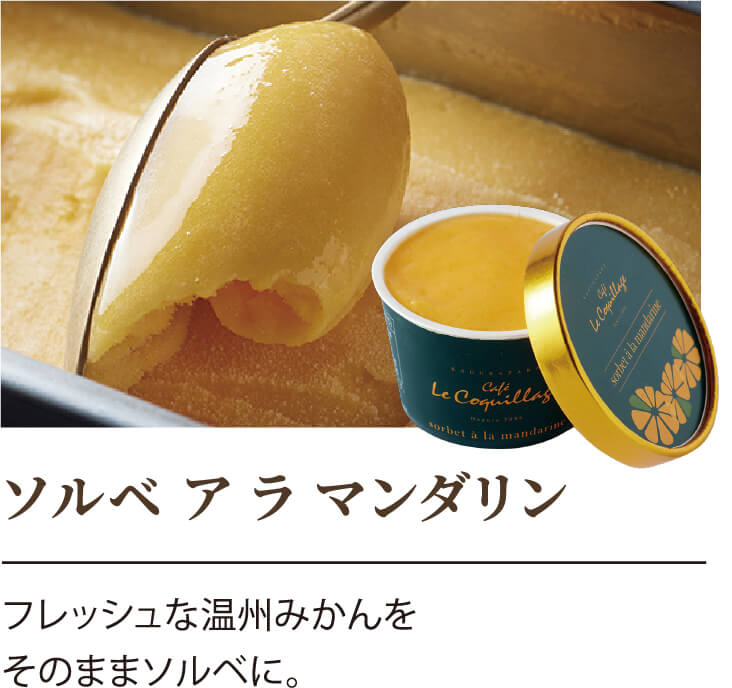 ソルベ ア ラ マンダリン フレッシュな温州みかんをそのままソルベに。