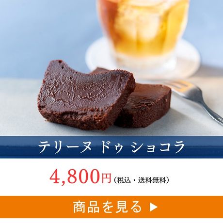 テリーヌ ドゥ ショコラ