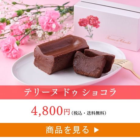 テリーヌ ドゥ ショコラ