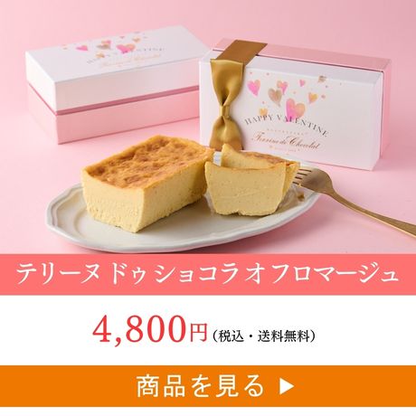 テリーヌ ドゥ ショコラ オ フロマージュ